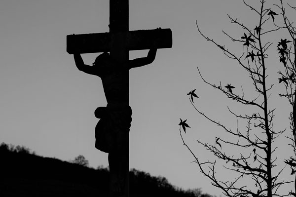 A Reflection on My Mom’s Death and the Way of the Cross
